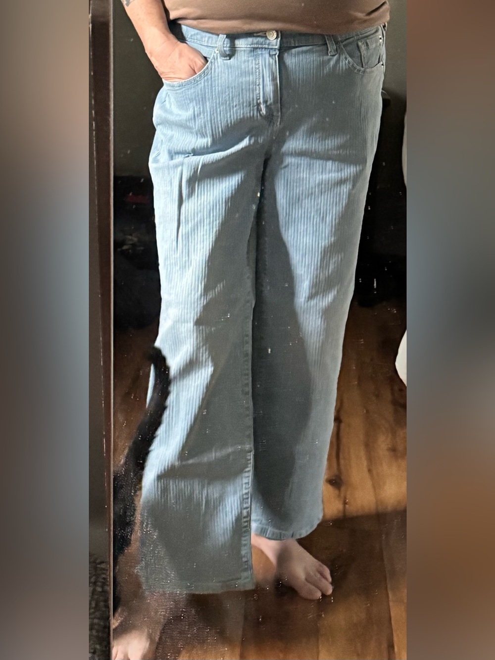 torrid Light Blue Pinstripe Relaxed Women’s Jeans